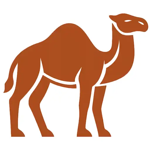 How many camels am I worth